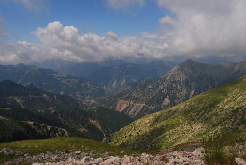DSC_0373.jpg