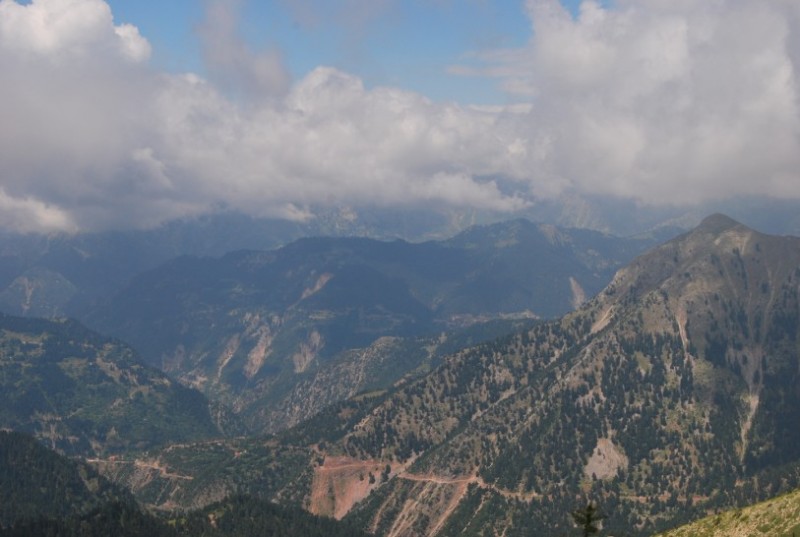 DSC_0371.jpg