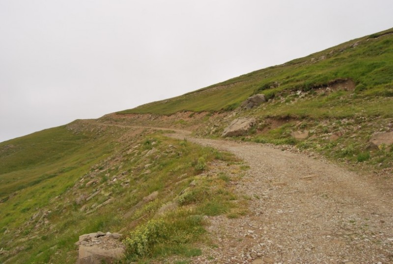 DSC_0369.jpg