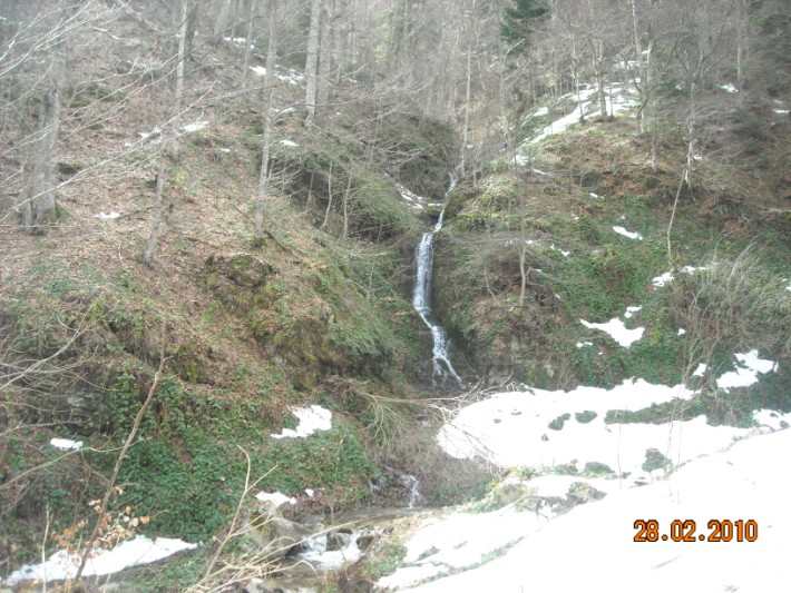 elatoxori1 028.jpg