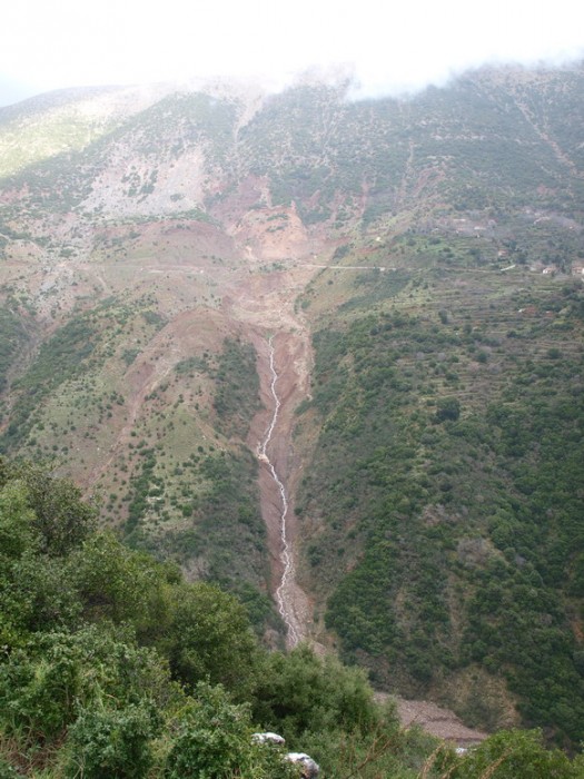 P1015847.jpg
