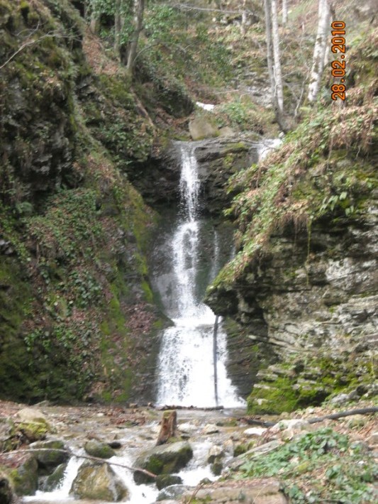 elatoxori1 034.jpg
