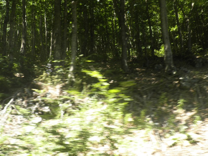 P7190175.jpg