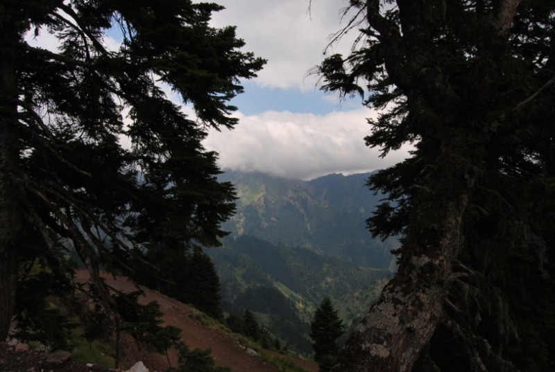 DSC_0341.jpg