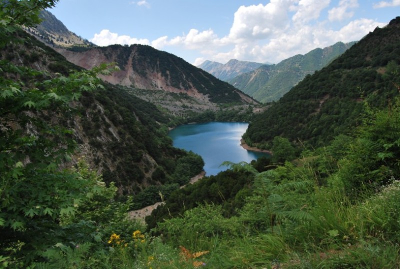 DSC_0249.jpg
