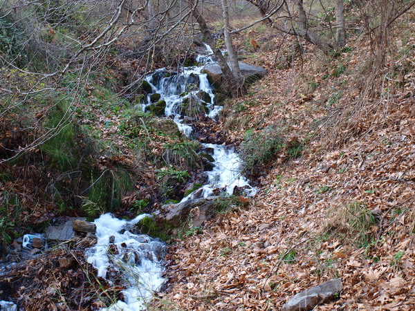 P1015862.jpg