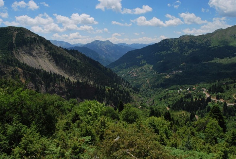 DSC_0177.jpg