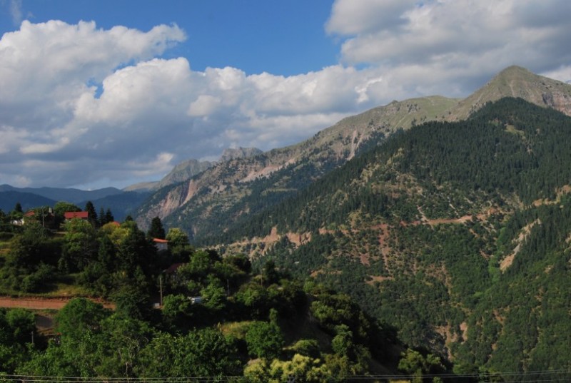 DSC_0086.jpg