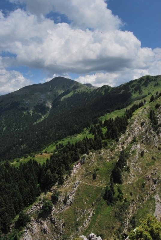 DSC_0020.jpg