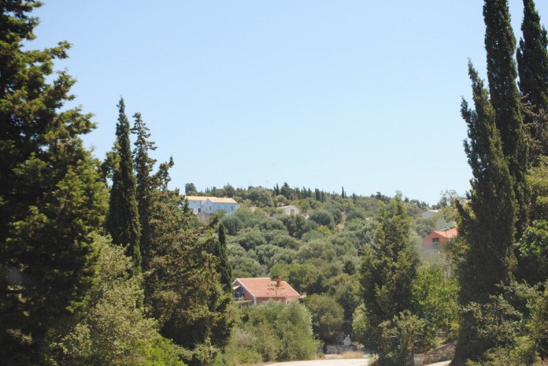 DSC_9230.jpg