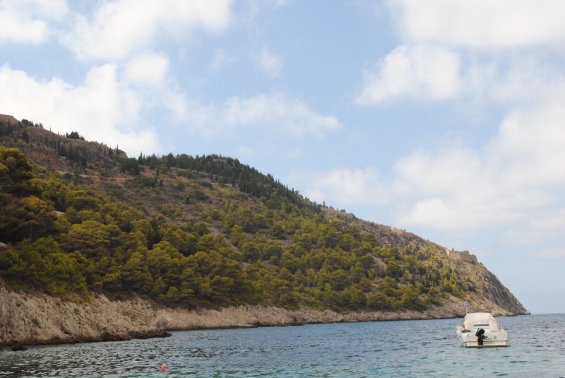 DSC_9307.jpg