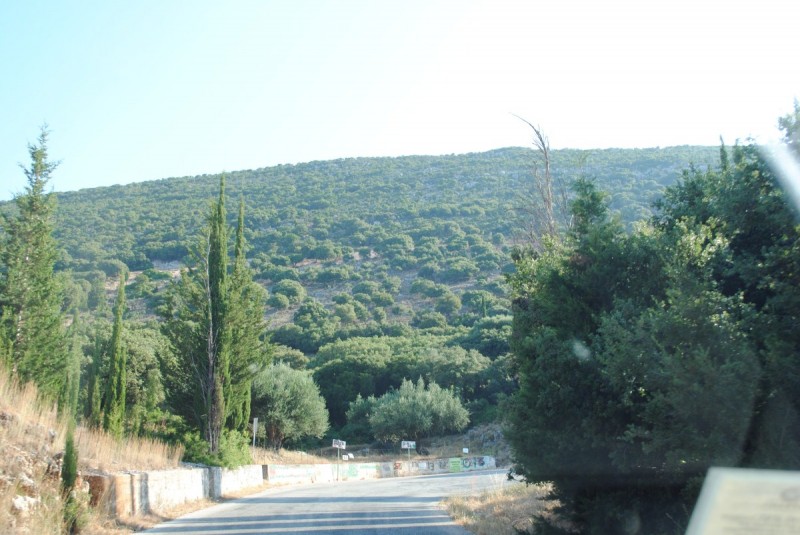 DSC_9369.jpg