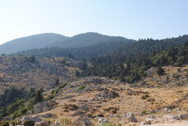 DSC_9451.jpg