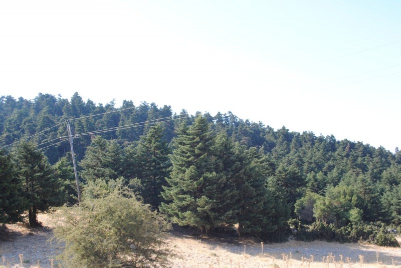 DSC_9456.jpg