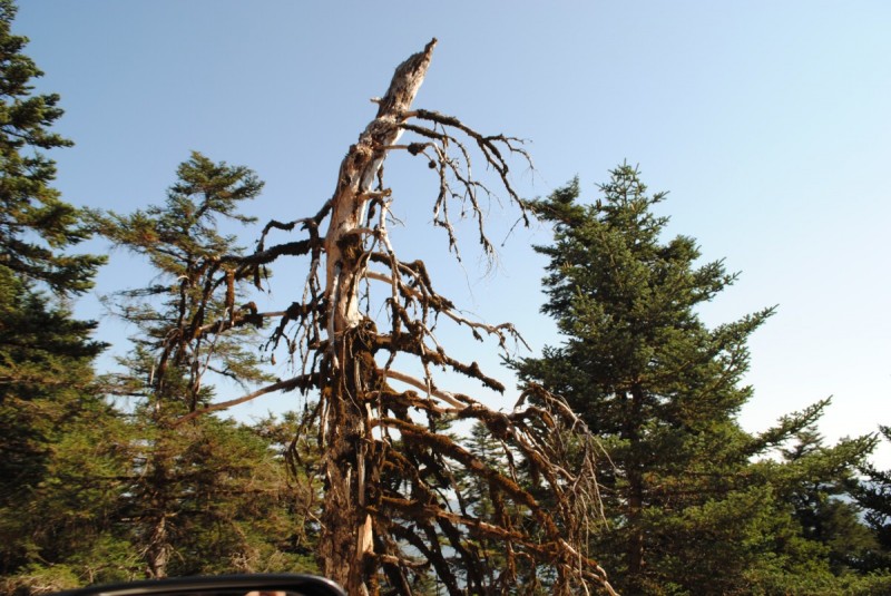 DSC_9476.jpg