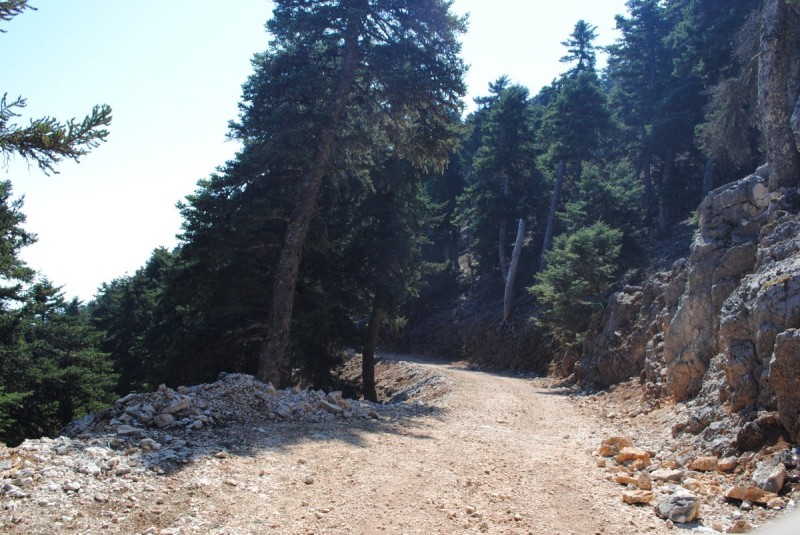 DSC_9541.jpg