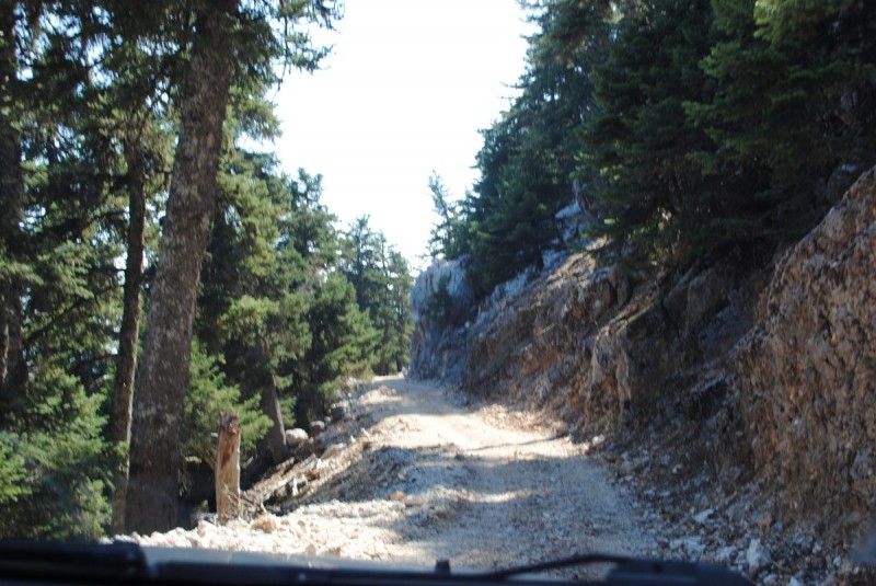 DSC_9545.jpg