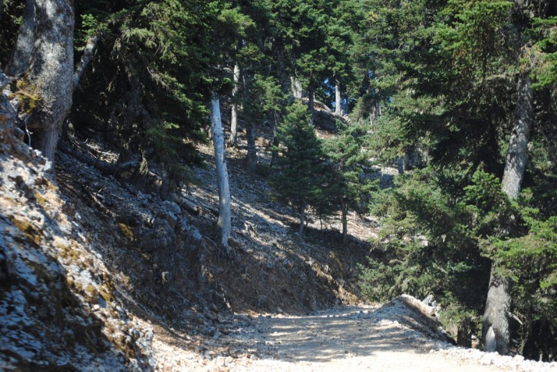 DSC_9554.jpg