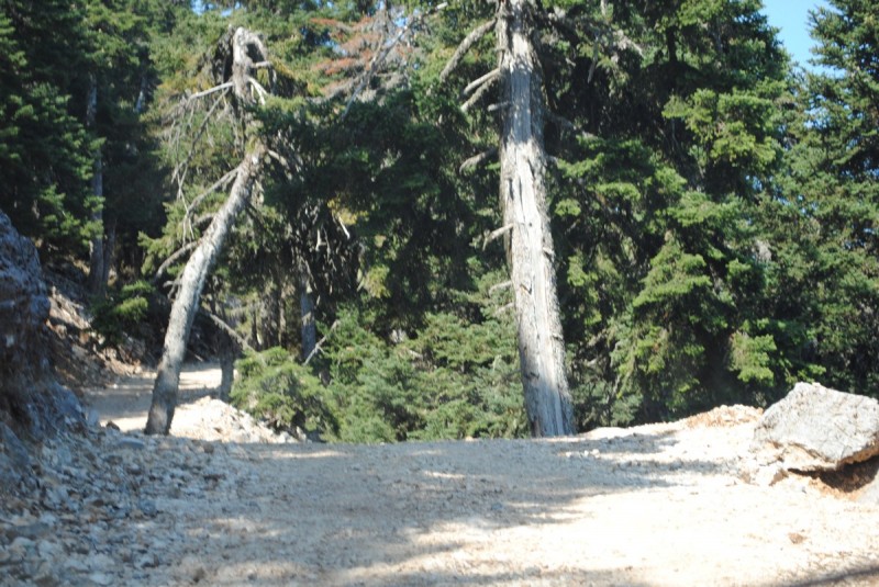 DSC_9558.jpg