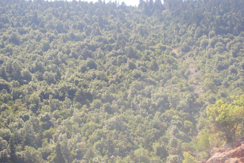 DSC_9563.jpg