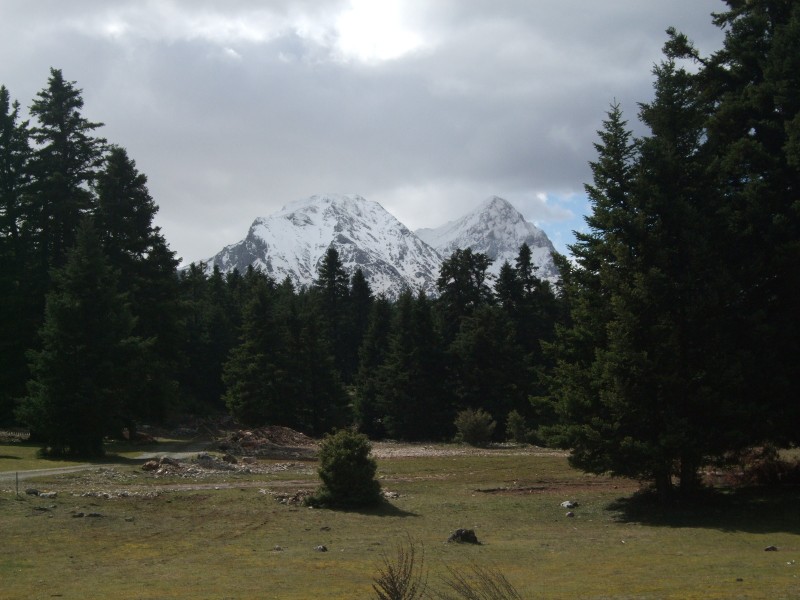 DSCF5495.JPG