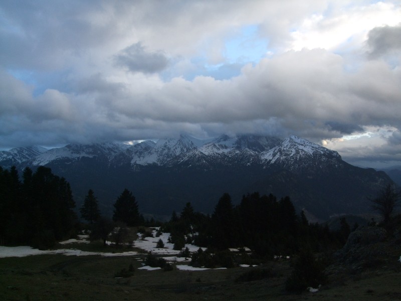 DSCF5498.JPG