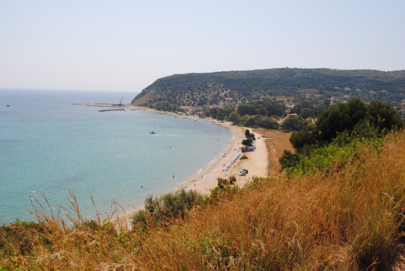 DSC_9795.jpg