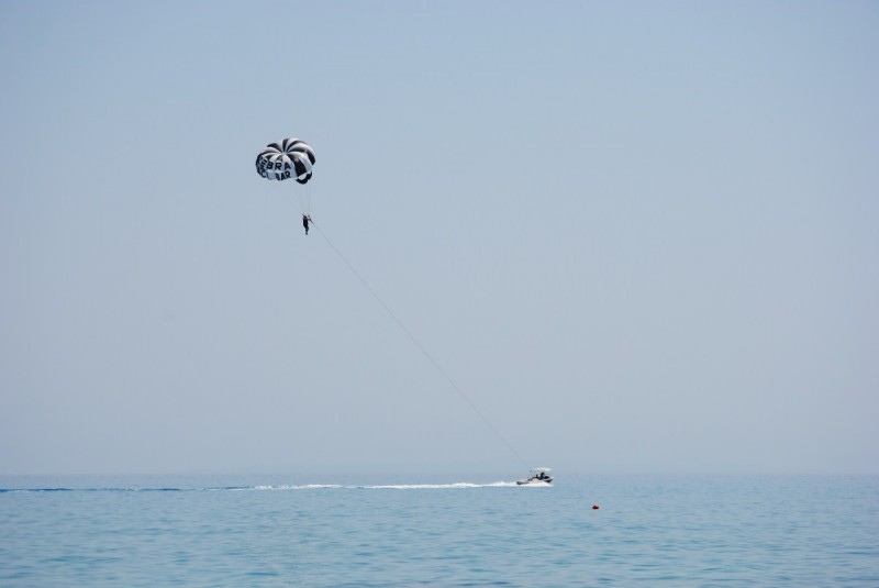 DSC_9770.jpg