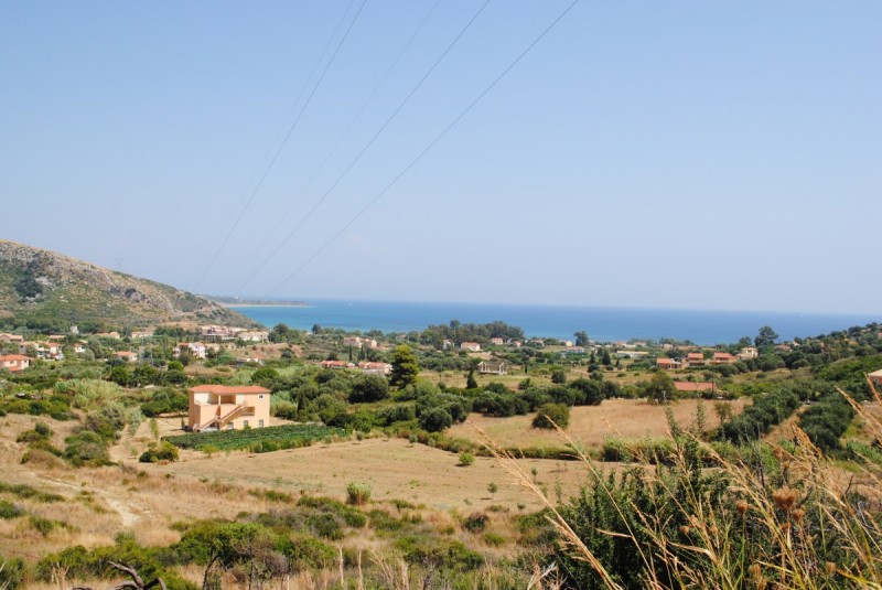 DSC_9797.jpg