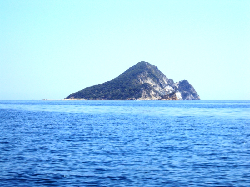 DSC02569.JPG