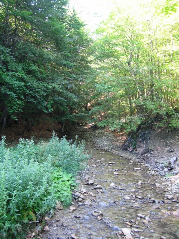 IMG_0782.jpg