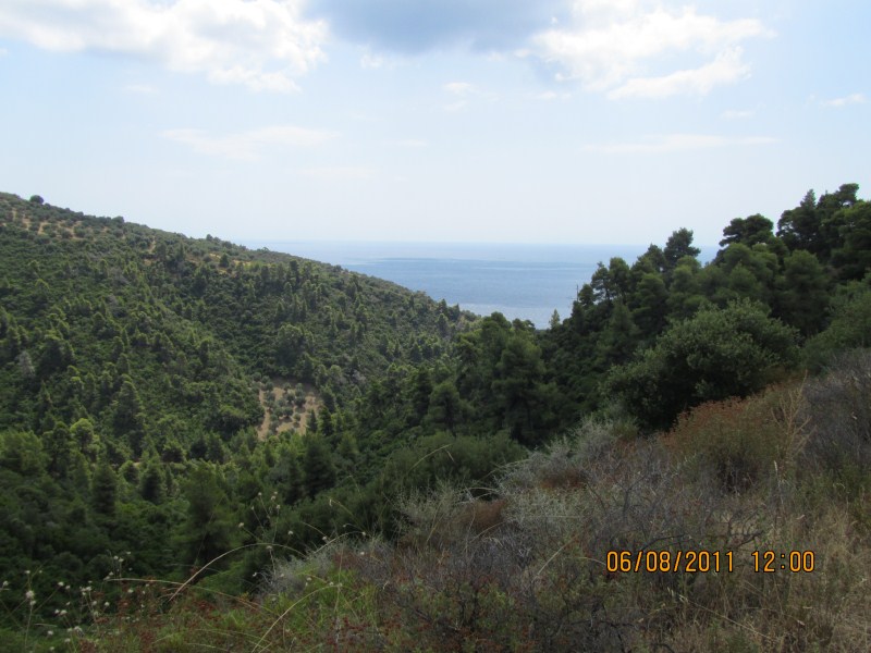 IMG_0524.jpg