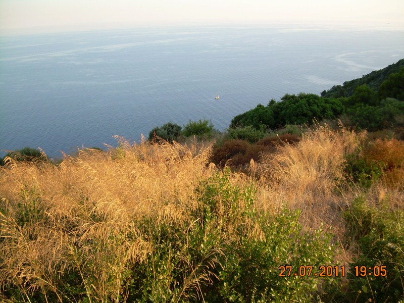 DSCN1921.jpg