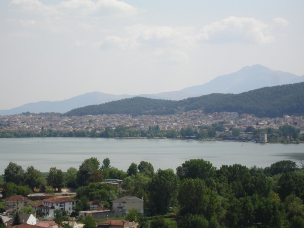DSC01470.jpg