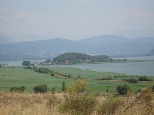 DSC01471.jpg
