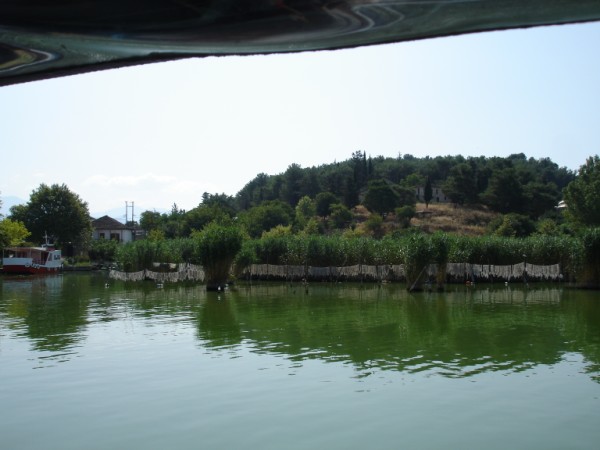 DSC01440.jpg