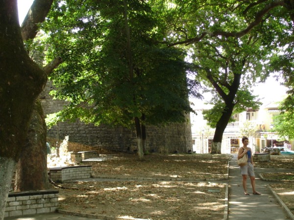 DSC01466.jpg