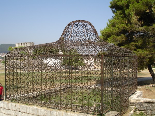 DSC01477.jpg