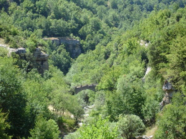 DSC01506.jpg