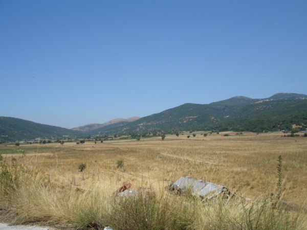 DSC01521.jpg