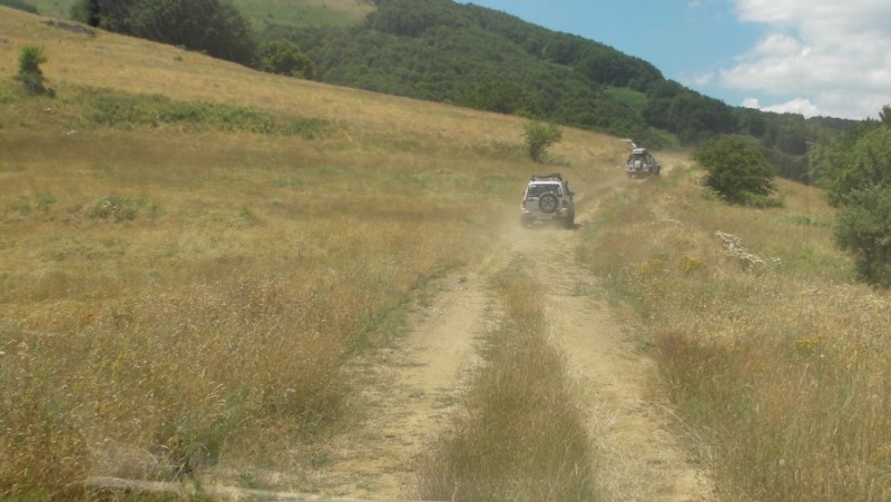 SANY0007.jpg