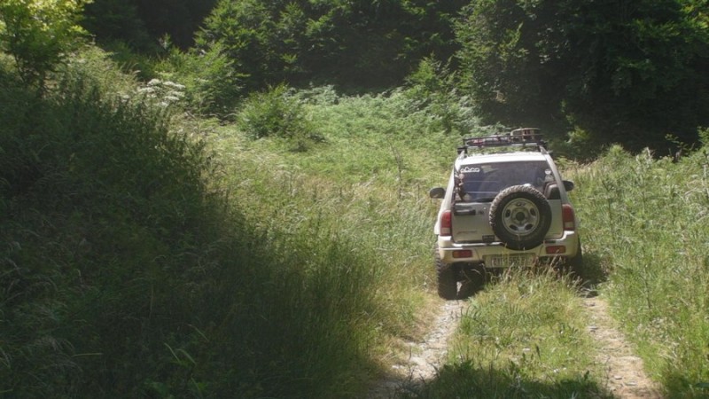 SANY0011.jpg