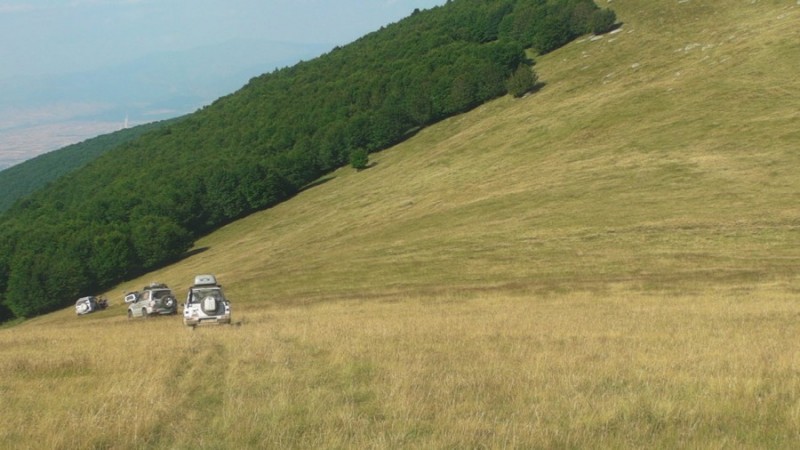 SANY0048.jpg