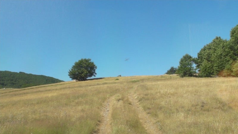 SANY0071.jpg