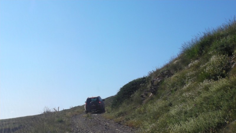 SANY0082.jpg