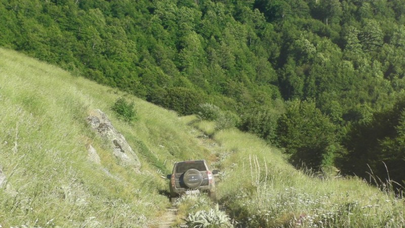 SANY0092.jpg