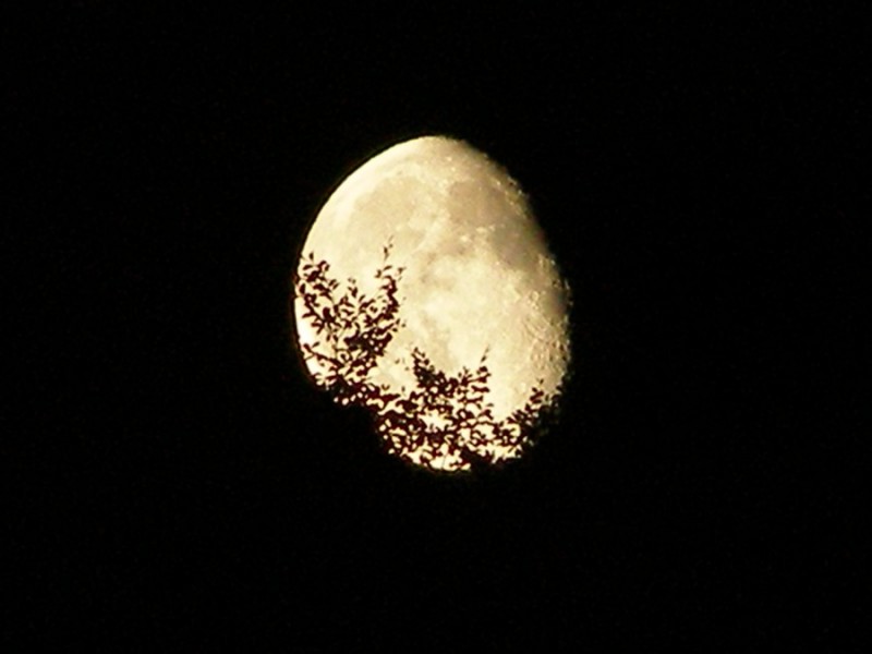 P7209929.jpg