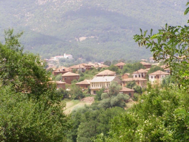 P7209944.jpg