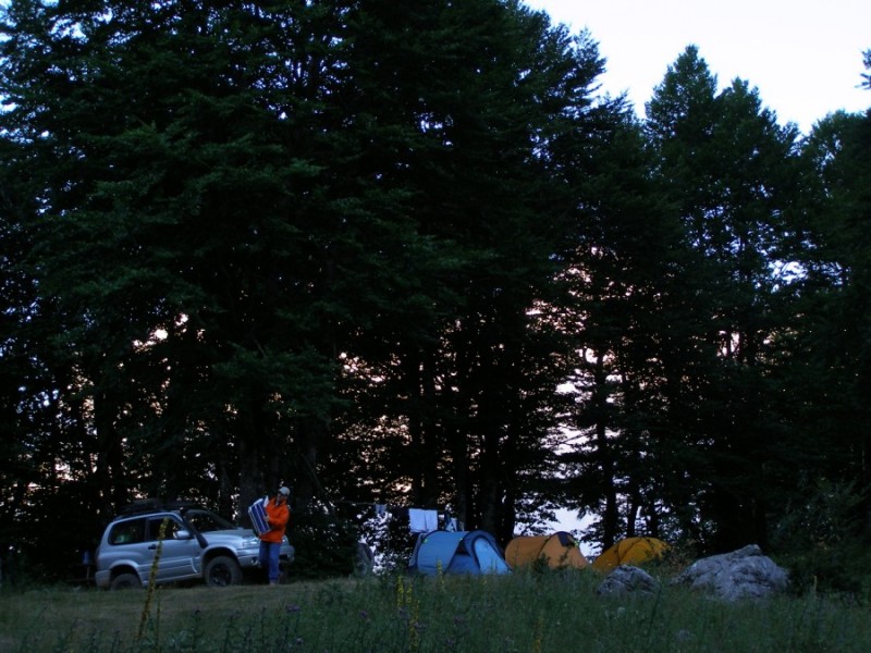 P7209955.jpg