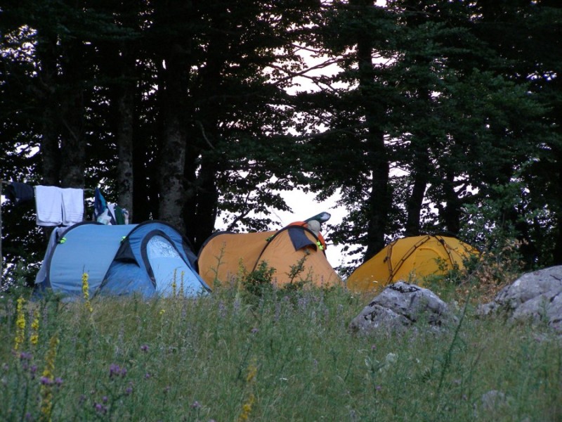 P7209952.jpg